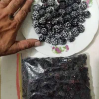 میوه پشن فروت تازه چین و بلک بری فریز شده|خوردنی و آشامیدنی|سورک, |دیوار