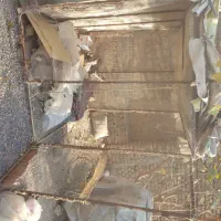 فروش قفس