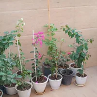 ویلایی  دوطبقه ۲۰۰ متر بنا شیک ۴راه فرید خراسانی|فروش خانه و ویلا|سبزوار, هویزه|دیوار