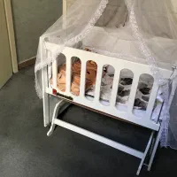 تخت کودک|تخت و صندلی بچه|تهران, جوادیه تهرانپارس|دیوار