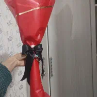 رز نباتی|گل مصنوعی|بیجار, |دیوار