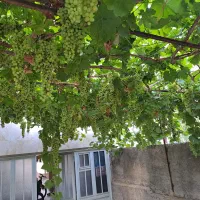 اجاره ساختمان