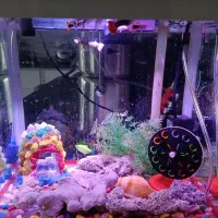 اکواریوم  مدل دلسا k320