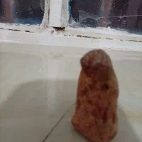 سنگ ها