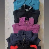 هودی و دورس
