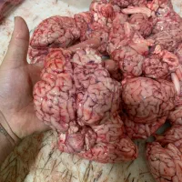 مغز گوساله|خوردنی و آشامیدنی|تهران, نازی‌آباد|دیوار