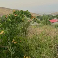 فروش-باغ