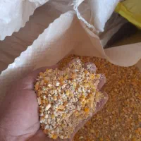 عرضه انواع مخلوط مرغ تخمگذار، بلدرچین و جوجه