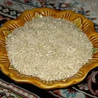 برنج فجر ،لاشه ،نیم دانه