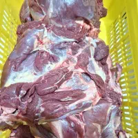 گوشت گوساله ماده و تلیسه|خوردنی و آشامیدنی|تهران, بوستان ولایت|دیوار