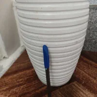 گلدان|گل و گیاه طبیعی|مشهد, سمزقند|دیوار