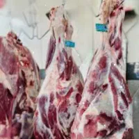 پخش گوشت گوساله ب قیمت گشتارگاه فقط عمده