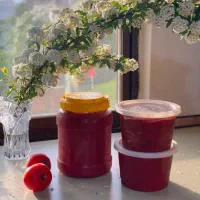 تولید و فروش رب گوجه فرنگی خانگی|خوردنی و آشامیدنی|شیرود, |دیوار