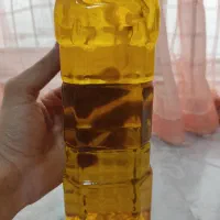 روغن زیتون ارگانیک طارم|خوردنی و آشامیدنی|قزوین, |دیوار