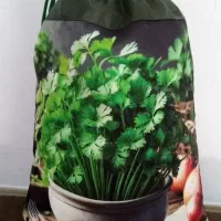 فروشی|سفره، حوله، دستمال آشپزخانه|دورود, |دیوار