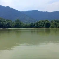 مسافردربست تهران گرگان بابلسرتاکسی آژانس راننده سو|خدمات حمل و نقل|مشهد, شهرک رازی (شهرک غرب)|دیوار