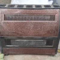 دوعده بخاری سالم در حد نوع