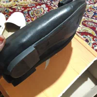 دار کیف کفش|فرش|کرمانشاه, |دیوار