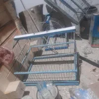 ۳عددقفس دست ساز