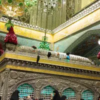 یارضا