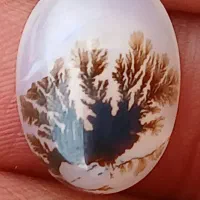 شجر|جواهرات|رضویه, |دیوار