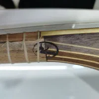 سه تار، تار شیرازی و ویولن|سازهای سنتی|نقده, |دیوار