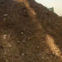 کود حیوانی
