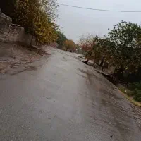 زمین باغی مهداب