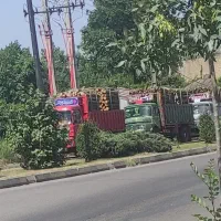 خرید و فروش چوب