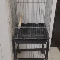 قفس کاسکو با پایه