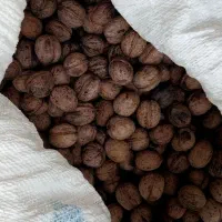 گردو درجه یک