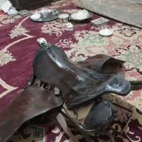 زین اسب|اسب و تجهیزات اسب‌سواری|قهدریجان, |دیوار