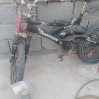 دوچرخه ماکسیما 20|دوچرخه، اسکیت، اسکوتر|نهاوند, |دیوار