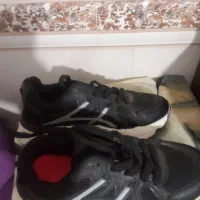 کتونیسایز39