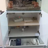 آکواریوم و میز|ماهی|پردیس, فاز ۲|دیوار