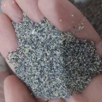 بذر کشاورزی|گل و گیاه طبیعی|کوهدشت, |دیوار