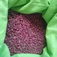 لوبیا قرمز یاقوتی