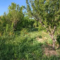 فروش باغ روستای چغادون