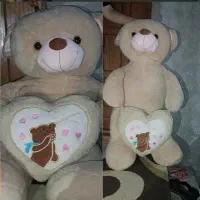 خرس یک متری