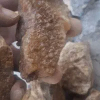 سنگ طلایک نیم گرمی+اموزش استخراج رایگان به خریدار