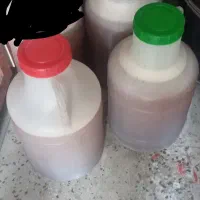 عسل کنار خالص درجه یک به شرط