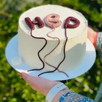 استخدام کیک پز