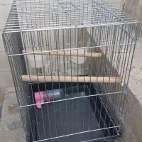 قفس پرنده
