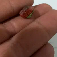 سنگ سه رنگ