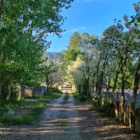 ۲۵۰ متر زمین سند تک برگ کلاردشت