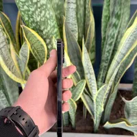 14 Pro Max 256 ZAA|موبایل|مشهد, بهشت|دیوار