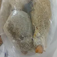 فروش عسل کوهی درجه یک|خوردنی و آشامیدنی|زرین دشت (فارس), |دیوار