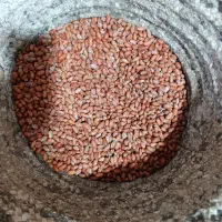 فروش بادام زمینی برشته درجه یک|خوردنی و آشامیدنی|پارس‌آباد, |دیوار