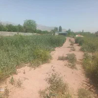 باغ در تسوج|فروش زمین و ملک کلنگی|تسوج, |دیوار