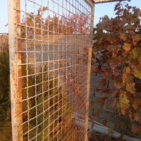 قفس بزرگ ۲×۲